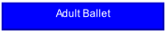 Adult Ballet.