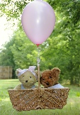 Bears in a hot air balloon